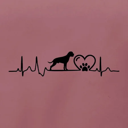 Německý boxer EKG