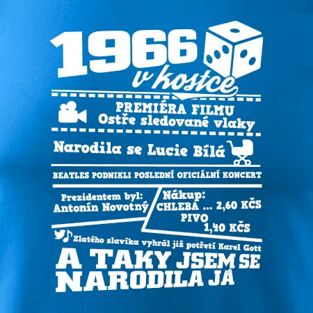 1966 v kostce