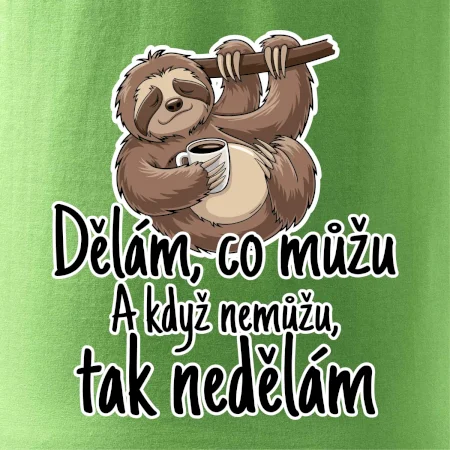 Dělám, co můžu. A když nemůžu, tak nedělám.