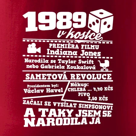 1989 v kostce