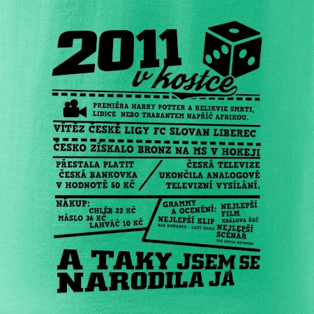 2011 v kostce