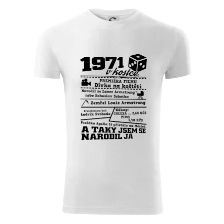 1971 v kostce