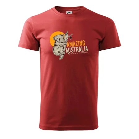 Amazing Australia koala
