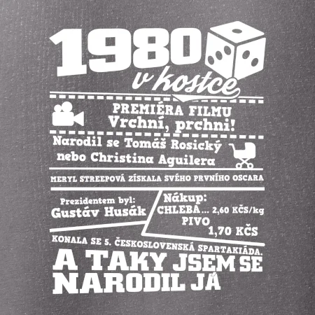 1980 v kostce