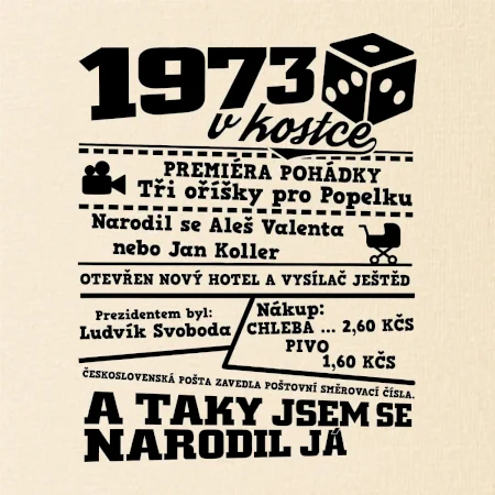 1973 v kostce