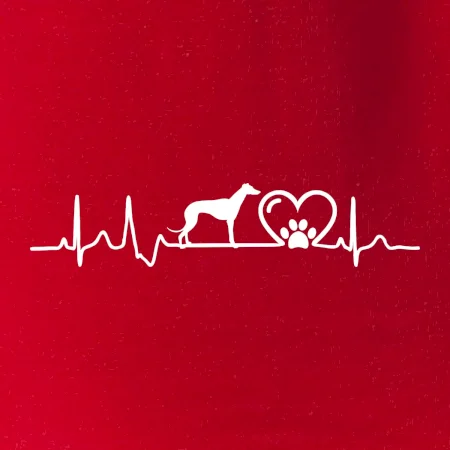 Chrt - Ekg