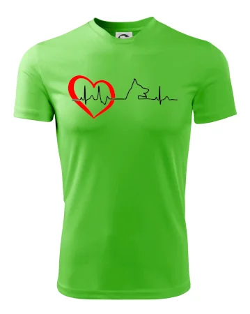 Německý ovčák ekg