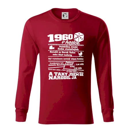 1960 v kostce