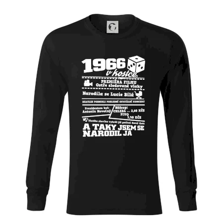 1966 v kostce
