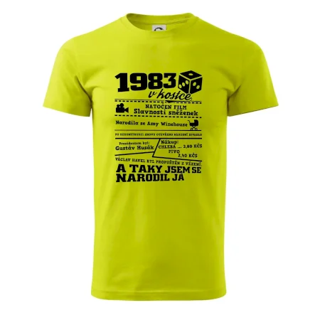 1983 v kostce