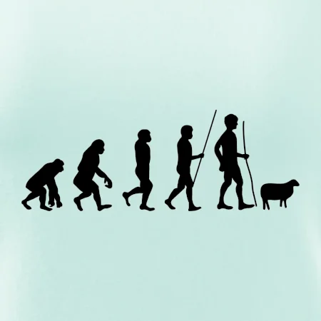 Evoluce pastevec ovcí