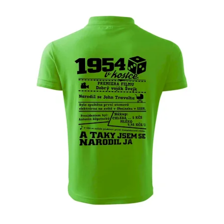 1954 v kostce