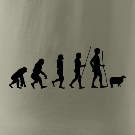 Evoluce pastevec ovcí