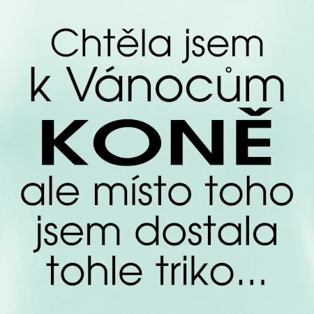 Chtěla jsem k Vánocům koně