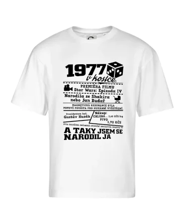 1977 v kostce