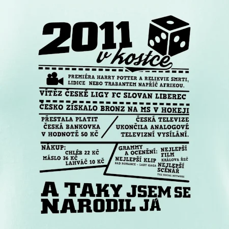 2011 v kostce