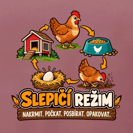 Slepičí režim od krmení po sběr vajec