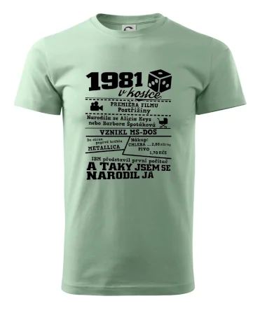 1981 v kostce
