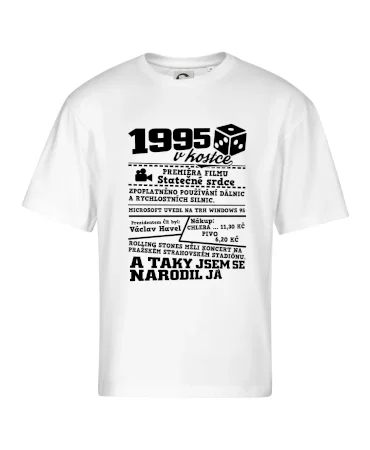 1995 v kostce