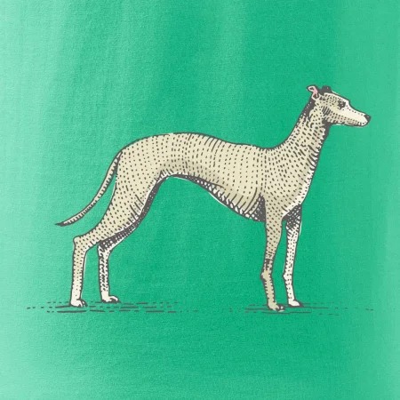 Vintage Whippet