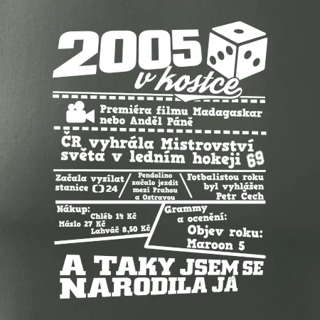 2005 v kostce