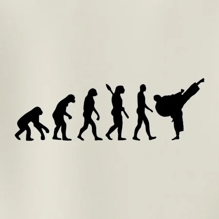 Karate Evoluce - kop