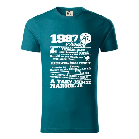 1987 v kostce