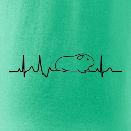 EKG morče