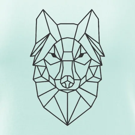 Geometrie - vlk
