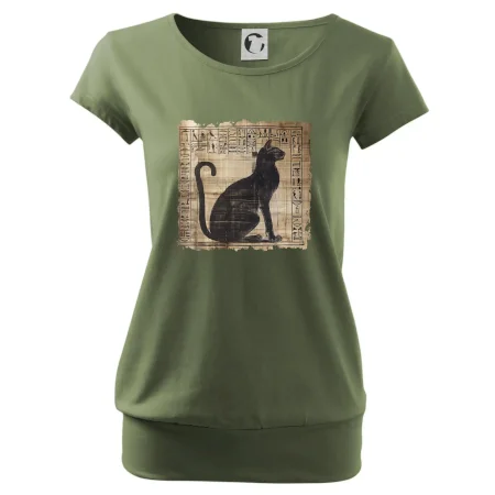 Egyptské hieroglyfy kočka