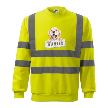 Zlatý retriever - štěně wanted