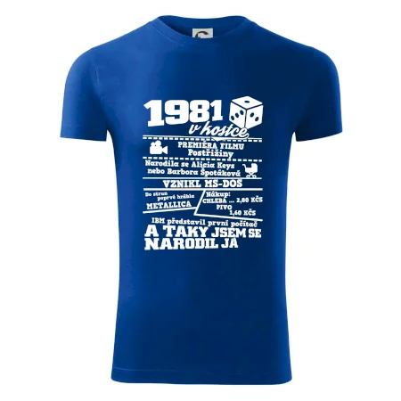 1981 v kostce