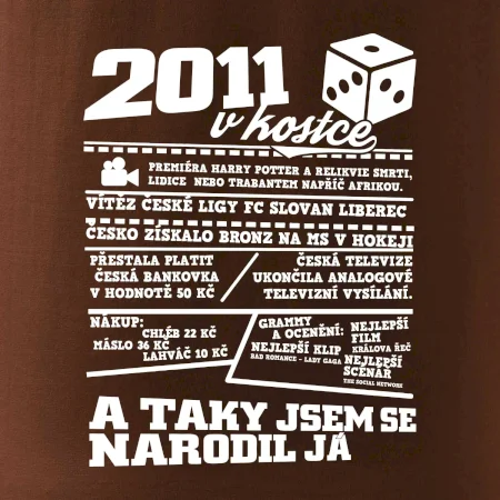 2011 v kostce