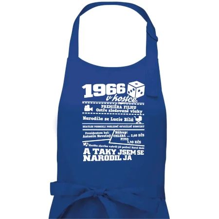 1966 v kostce