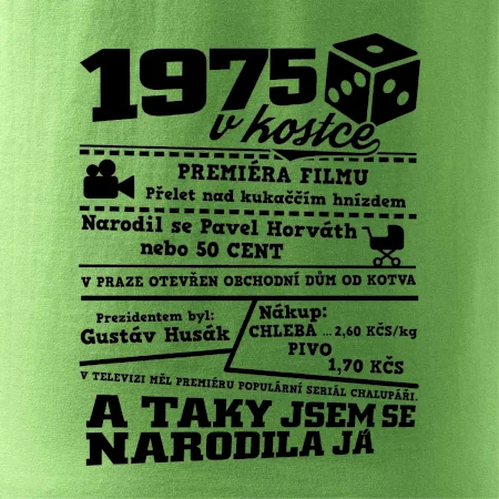 1975 v kostce