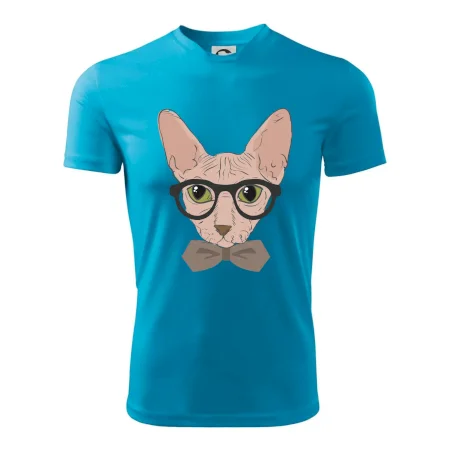 Hipster sphynx