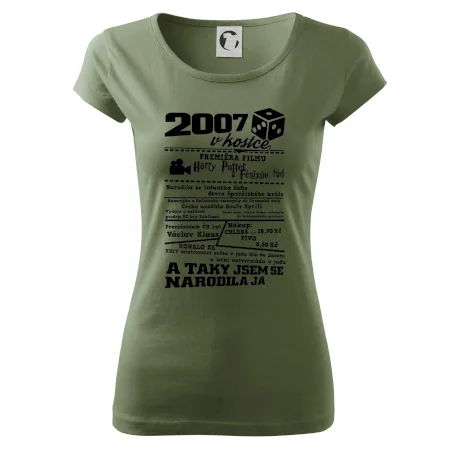 2007 v kostce