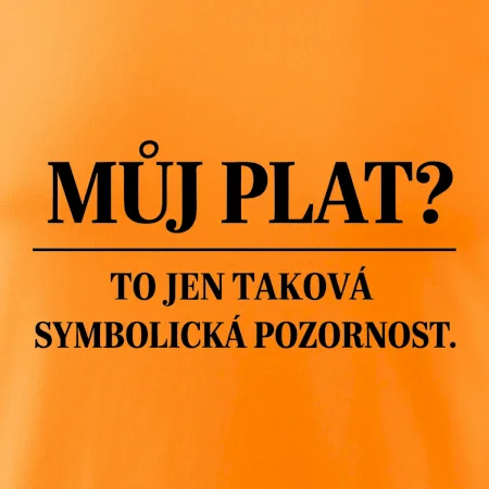 Můj plat? to jen taková symbolická pozornost