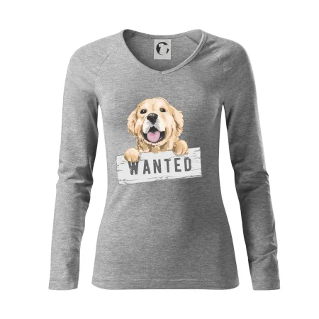Zlatý retriever - štěně wanted