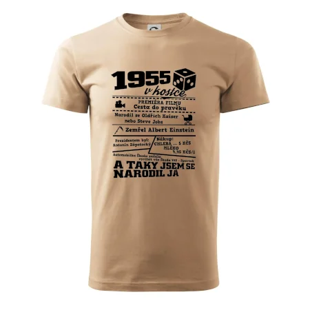 1955 v kostce