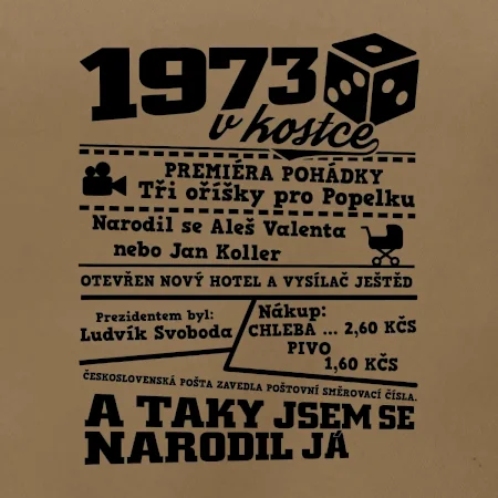 1973 v kostce