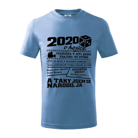 2020 v kostce