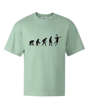 Evoluce Badminton