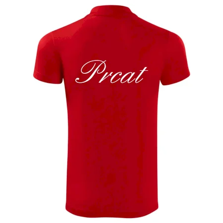 Prcat (souložit vulgárně)