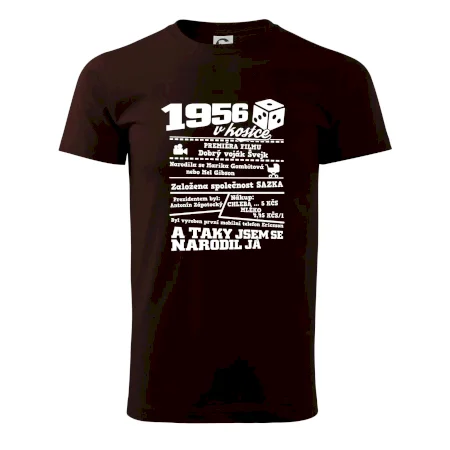 1956 v kostce