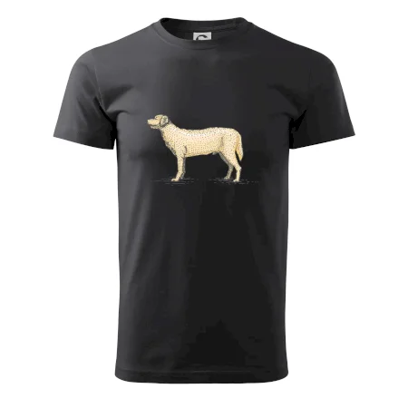 Vintage Labrador