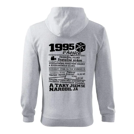 1995 v kostce