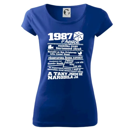 1987 v kostce