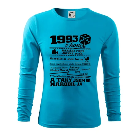 1993 v kostce