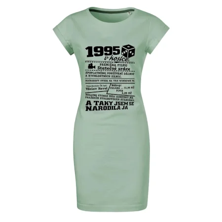 1995 v kostce